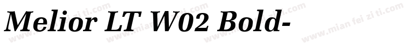 Melior LT W02 Bold字体转换